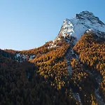 Κατάλυμα σε φάρμα Plan De La Tour