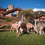 Plan De La Tour Cogne