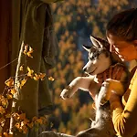 Plan De La Tour Κατάλυμα σε φάρμα