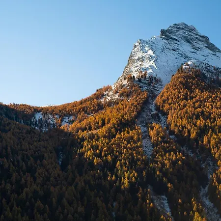 Bauernhof Plan De La Tour
