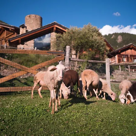 Plan De La Tour Cogne