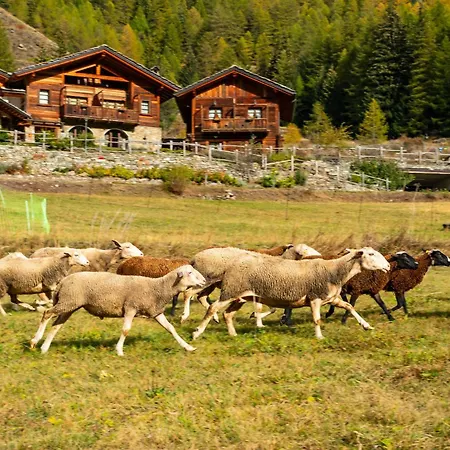 Farm stay Plan De La Tour