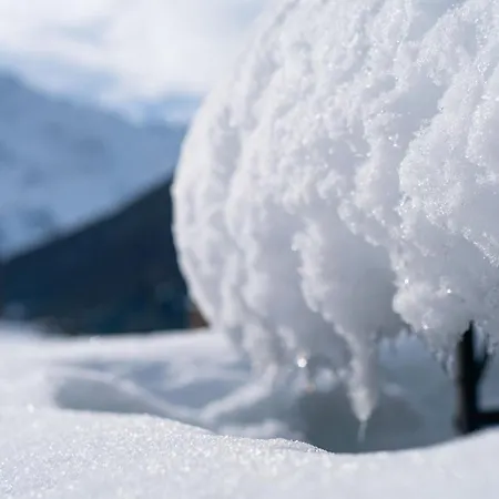 Bauernhof Plan De La Tour