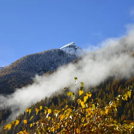 Farm stay Plan De La Tour *