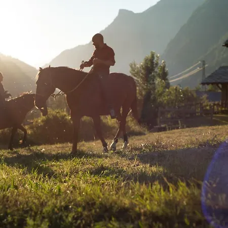 Plan De La Tour Bauernhof *