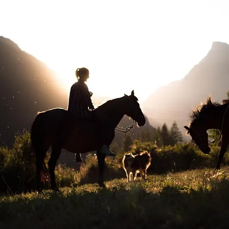 Plan De La Tour Farm stay *