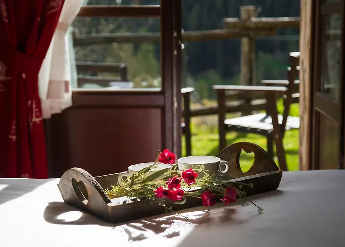 Plan De La Tour Farm stay