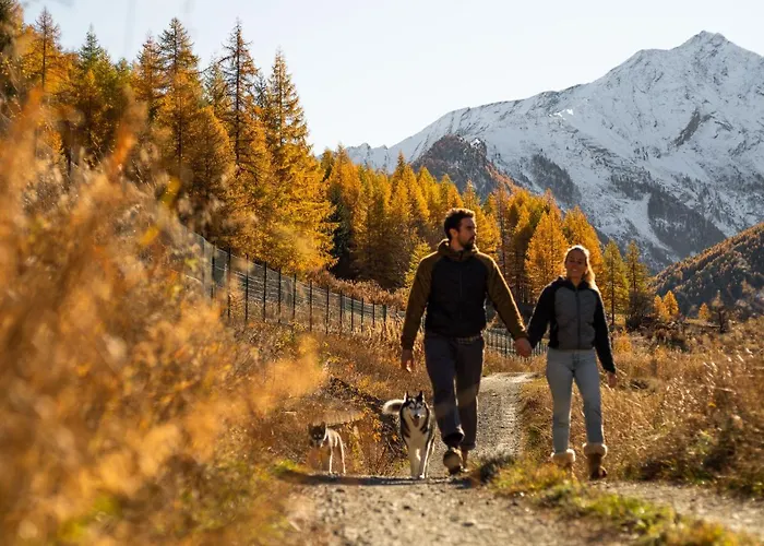 Plan De La Tour Bauernhof *
