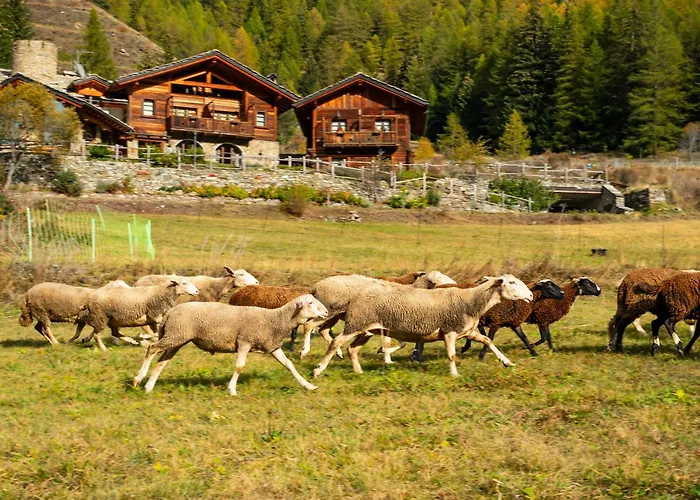 Farm stay Plan De La Tour