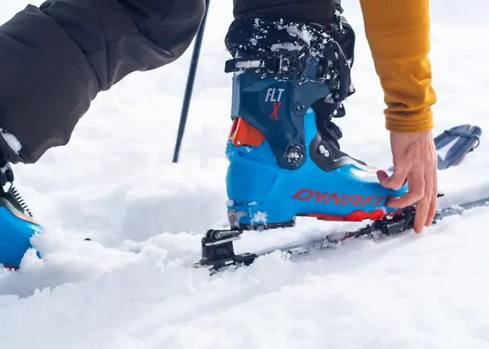 Farm stay Plan De La Tour