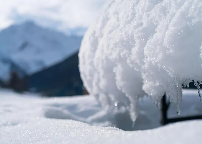 Farm stay Plan De La Tour