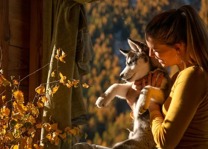 Plan De La Tour Bauernhof