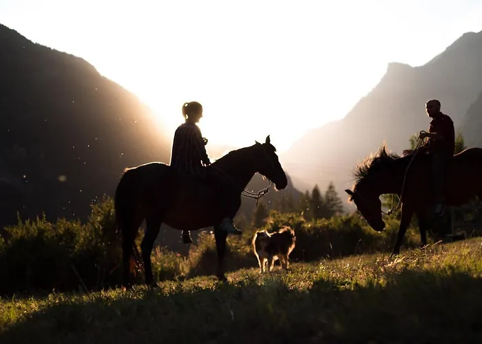 Plan De La Tour Bauernhof *